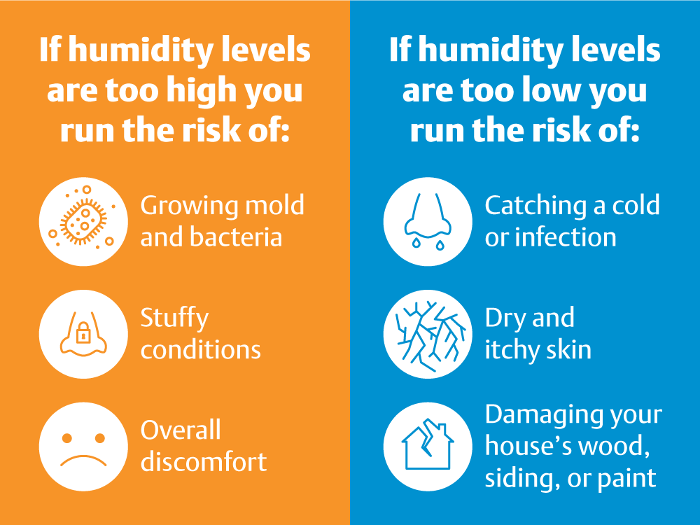 how to measure humidity in your house